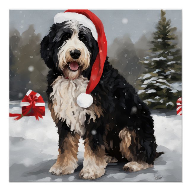 Poster Bernedoodle Chien dans Noël de neige (Devant)