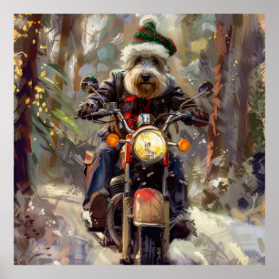 Poster Bernedoodle Chien équitation Moto Noël