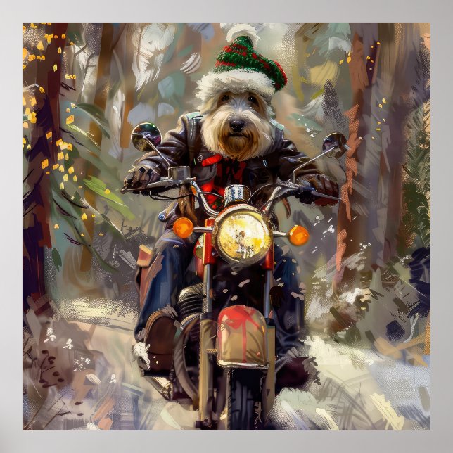 Poster Bernedoodle Chien équitation Moto Noël (Devant)