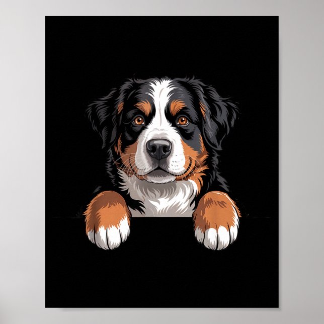 Poster Bernese Mountain Dog Funny Peeking Cket Berner Pup (Devant)