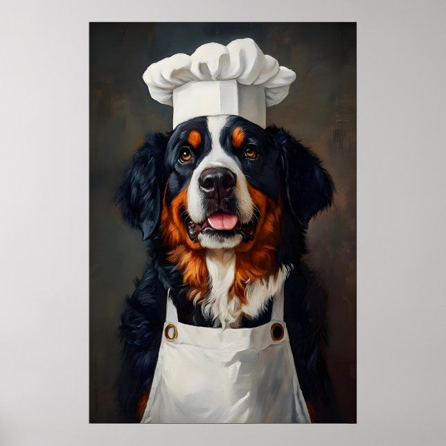 Poster Bernese Mountain Dog In Chefs Hat Poster, Pet (Devant)
