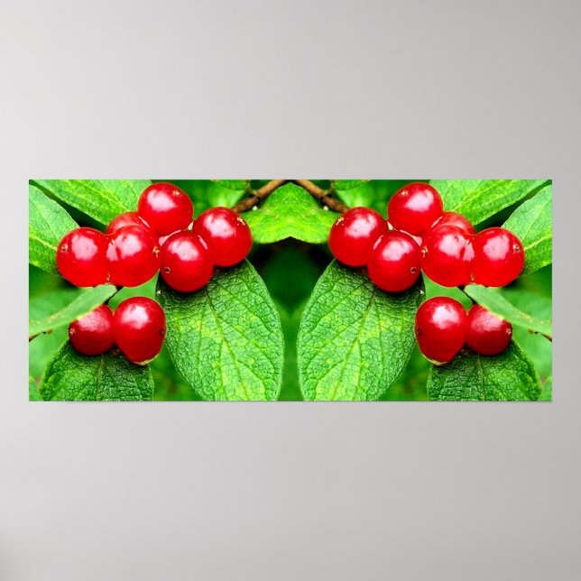 Poster Berries rouges avec gouttes de pluie Miroir Abstra (Devant)