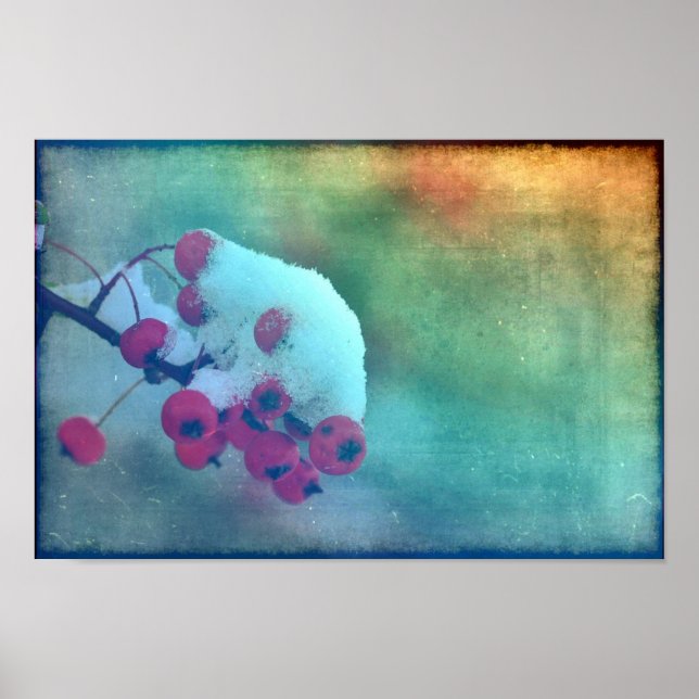 Poster Berry Cold (Devant)