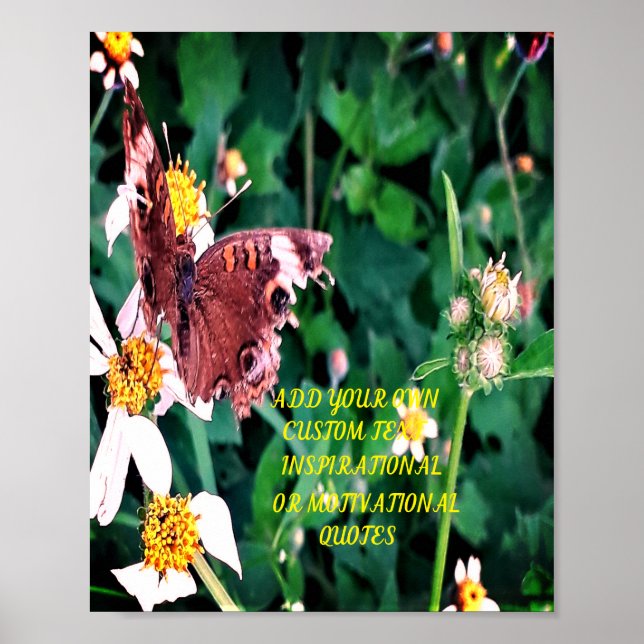 Poster BEST WISHES HUGS ET KISSES Carte postale (Devant)