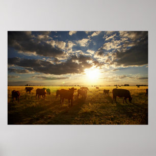 Poster Béton En Champ, Coucher De Soleil