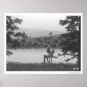 Poster Béton près d'un étang avec deux cowboys.