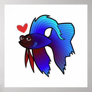 Poster Betta Fish / Siamese Combattre l'amour du poisson