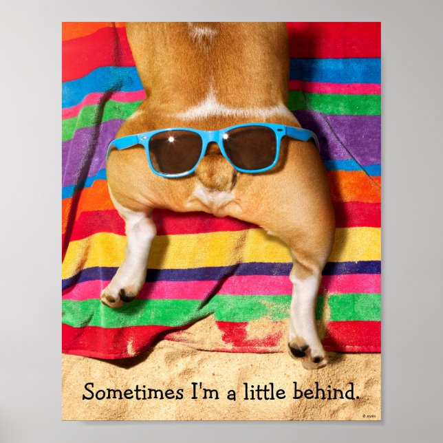 Poster Beurre de chien avec lunettes de soleil (Devant)