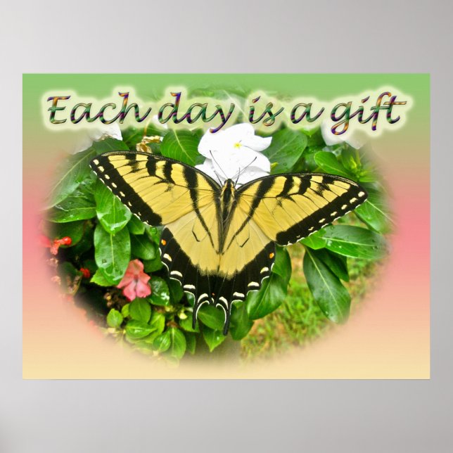 Poster Beurre escarpé de tigre de l'Est (Devant)