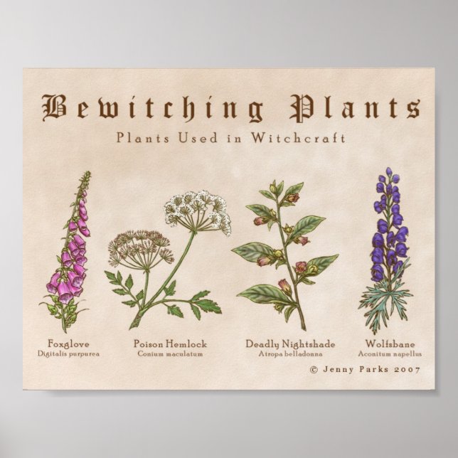 Poster Bewitting Plante Print (Devant)