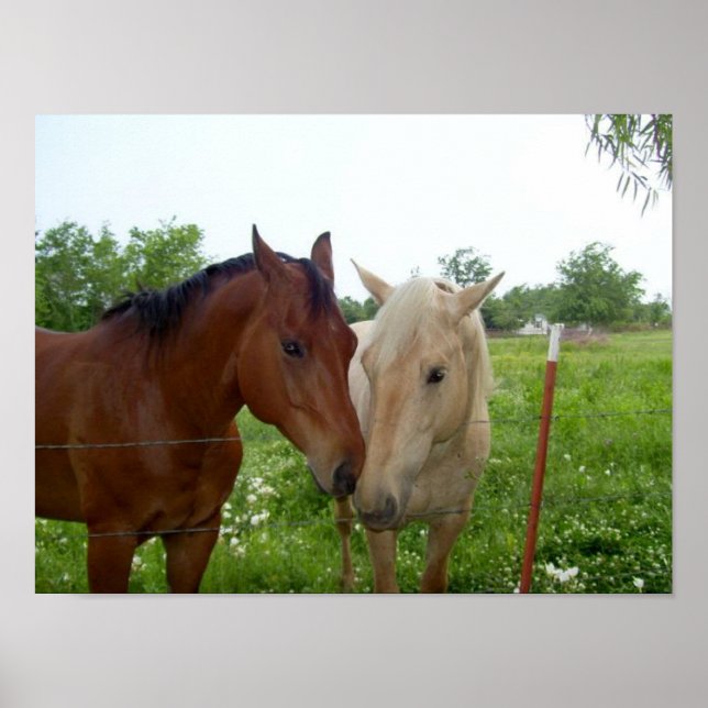 Poster BFF Meilleurs amis pour toujours (Devant)