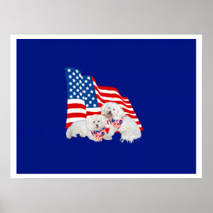 Poster Bichon frisé drapeau américain