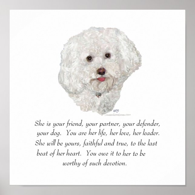 Poster Bichon Frise Keepsake (Devant)