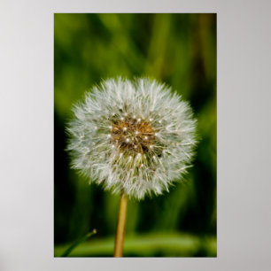 Poster Bien Me Faire Sauter