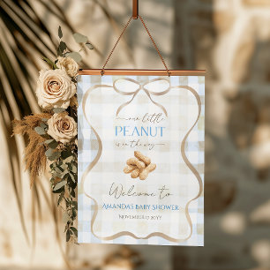 Poster Bienvenue à la Baby Shower Peanut Boy Blue Gingham