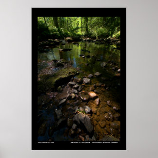 Poster Bienvenue dans la jungle