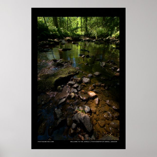 Poster Bienvenue dans la jungle (Devant)