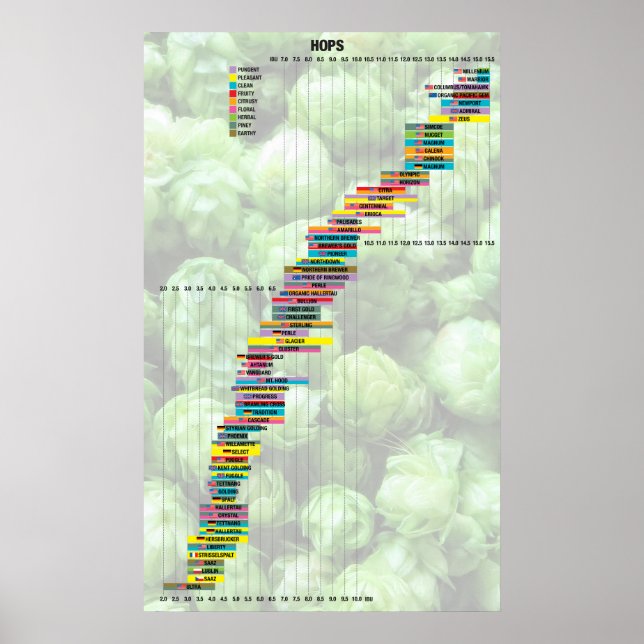 Poster Bière Par Les Nombres - Hops (Devant)