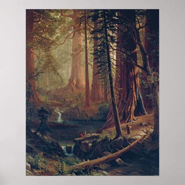 Poster Bierstadt Redwood Trees Peinture (Devant)