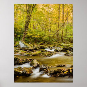 Poster Big Creek   Caroline du Nord
