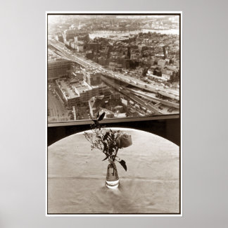 Poster Big Dig Rose