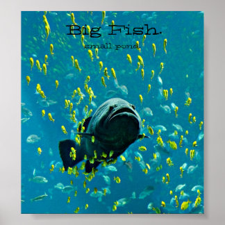 Poster Big Fish. petit étang.