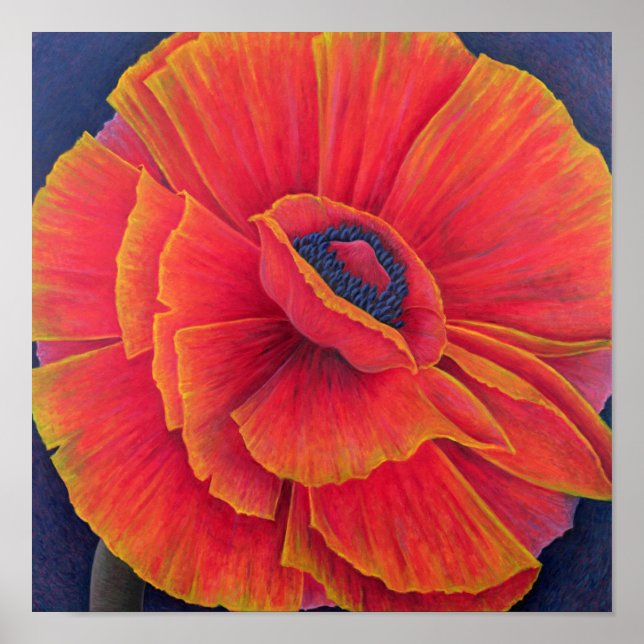 Poster Big Poppy 2003 (Devant)