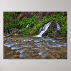 Poster Big Springs Virgin River   Parc national de Zion