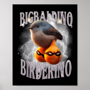 Poster Bigbaldino Birderino Funny Italien Brainrot mème G