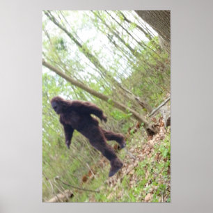 Poster Bigfoot