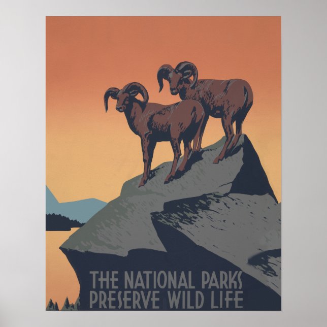 Poster Bighorn Sheep American West Wildlife (Devant)