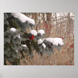 Poster Bijou parmi les arbres