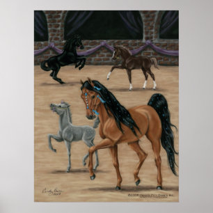 Poster Bijoux Bella Sara imprimé par Cindy Price McMurray