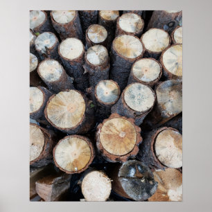 Poster billes de bois photo nature originale