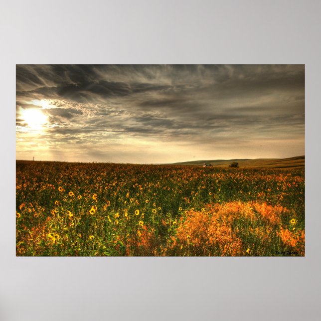 Poster Bill's Flower Field (Devant)