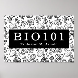 Poster Biologie Anatomie Classe de sciences Enseignant Si