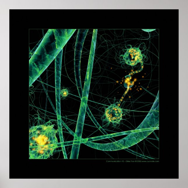 Poster Biologie : communication #2 (Devant)