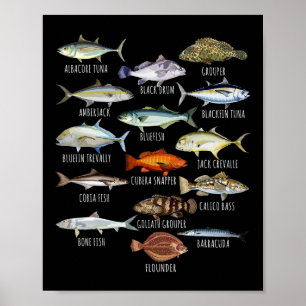 Poster Biologie des espèces de poissons Types de poissons