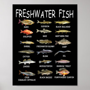 Poster Biologie des espèces de poissons Types de poissons