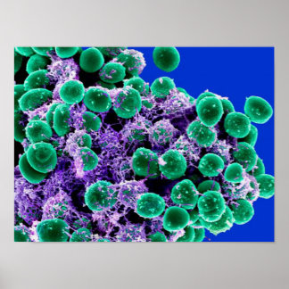 Poster biologie microbiologie toile d'affiche d'art abstr