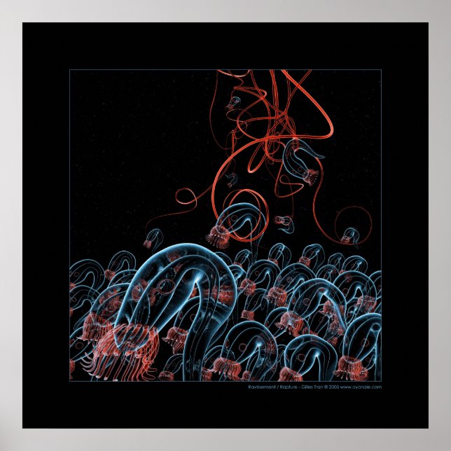 Poster Biologie : rapt (Devant)