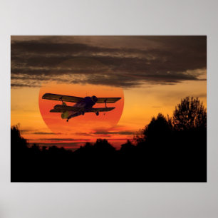 Poster biplane