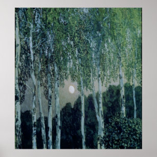 Poster Birch Trees