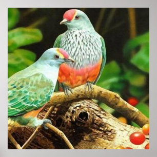 Poster Bird green