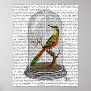 Poster Bird In Bell Jar
