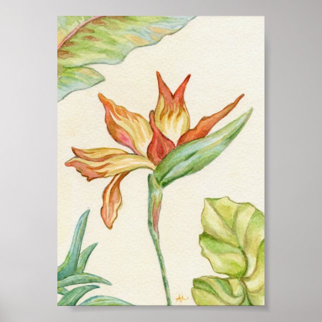 Poster Bird of Paradise Art Imprimer 5x7 (Devant)