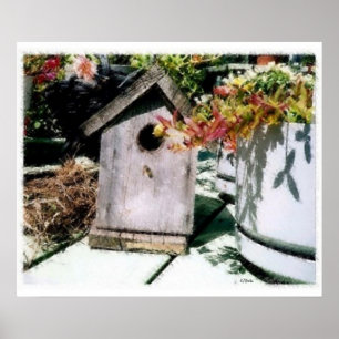 Poster Birdhouse