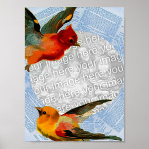 Poster Birds Framing Your Own Photo