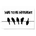 Birds on a wire - dare to be different