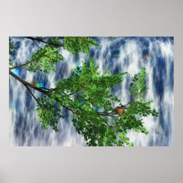 Poster Birdsnest Falls Imprimer (Devant)